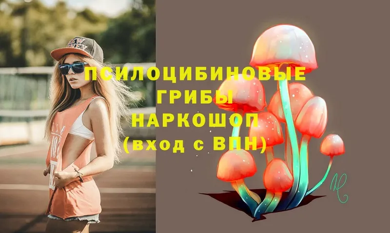 Псилоцибиновые грибы мухоморы  мега ссылка  Ставрополь 